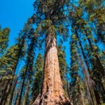 Bóle porodowe – jak je rozpoznać i złagodzić 914