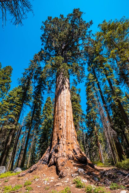 Bóle porodowe – jak je rozpoznać i złagodzić