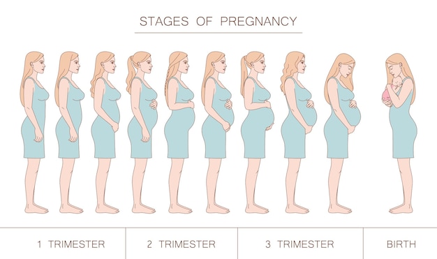 Okres wydalania porodu i jego najważniejsze etapy
